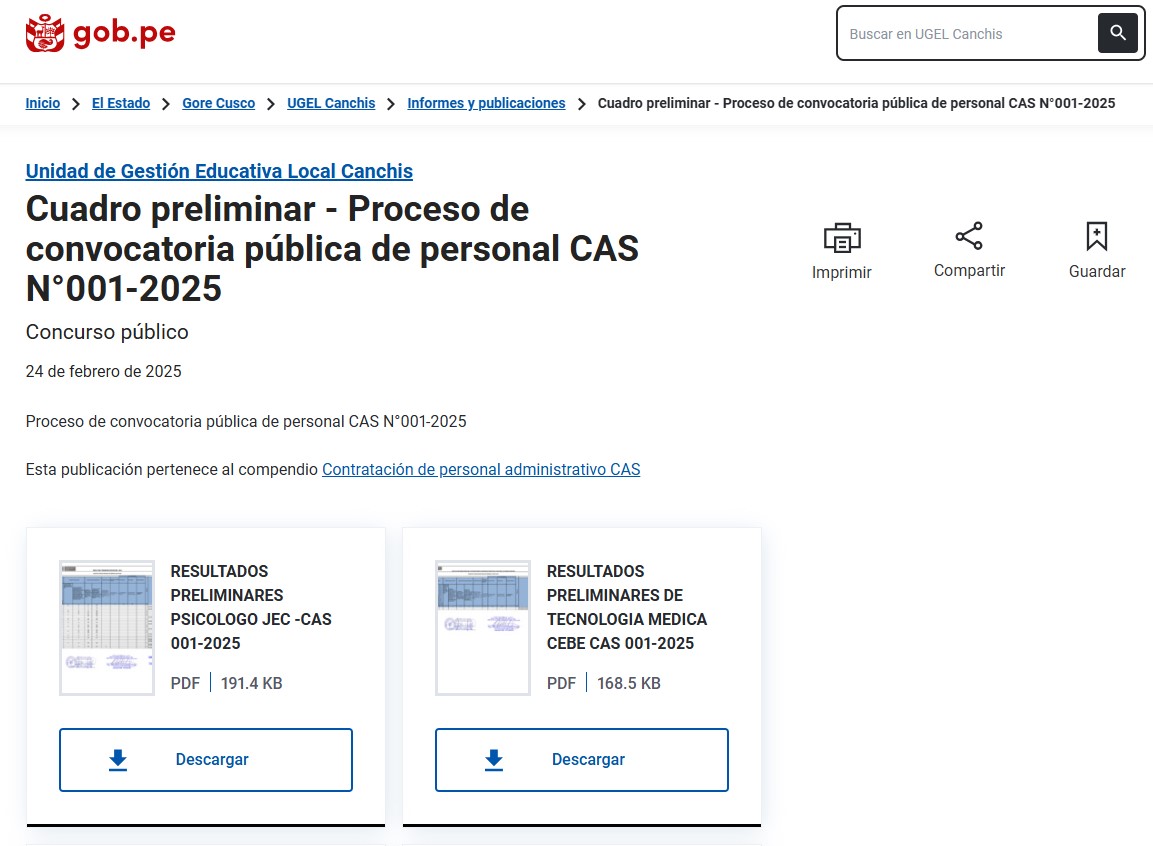 Cuadro preliminar - Proceso de convocatoria pública de personal CAS N°001-2025